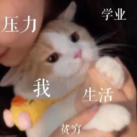 微信图片_20201029142022.jpg