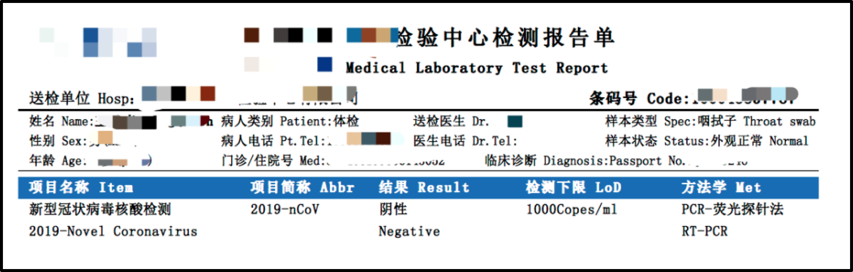 新冠检测报告示例图