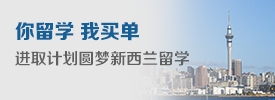 新西兰进取计划