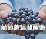 葡萄栽培和酿造