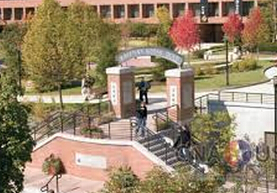 学校图片