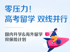 高考留学双线并行