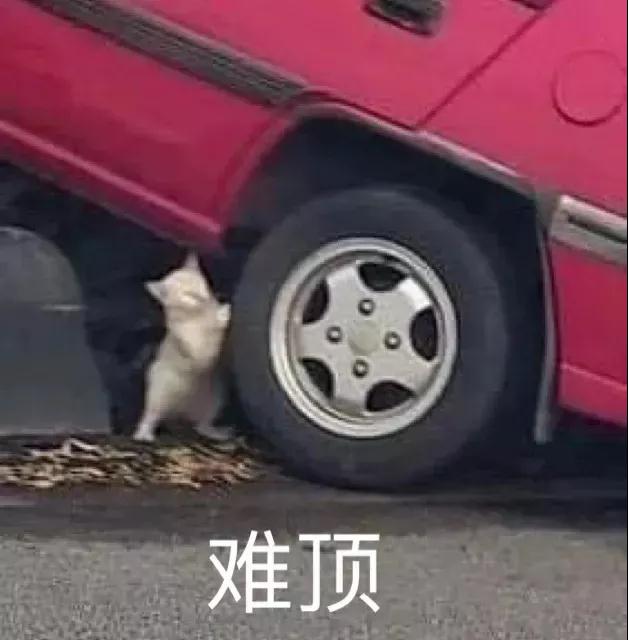 微信图片_20201119170218.jpg