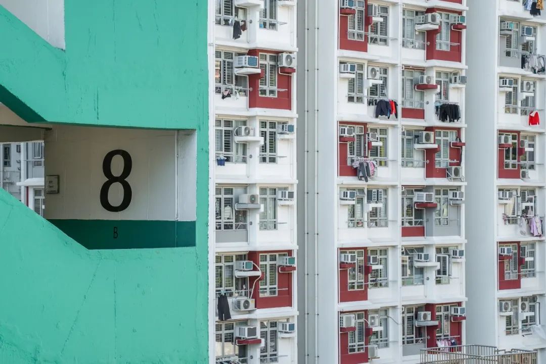 留学政策