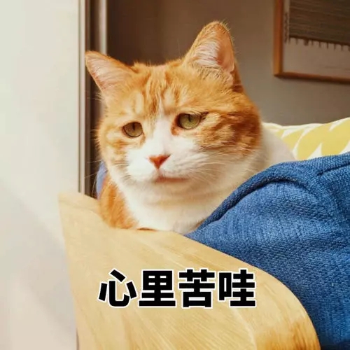 4.webp.jpg
